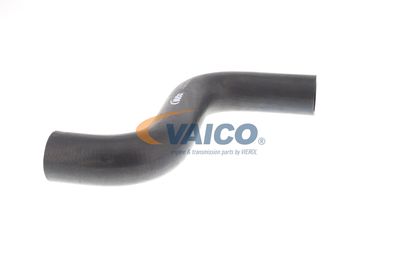 KüHLERSCHLAUCH VAICO V301574 55