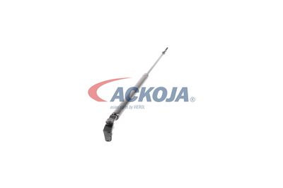 FILTRU AER ACKOJA A320034 49