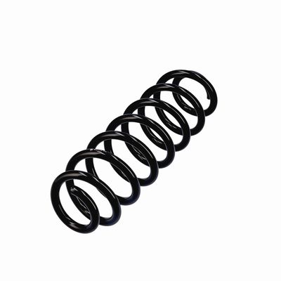 ARC SPIRAL EIBACH R21213 3