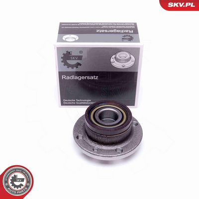 SET RULMENT ROATA ESEN SKV 29SKV419