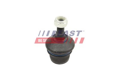 ARTICULATIE PARGHIE COT