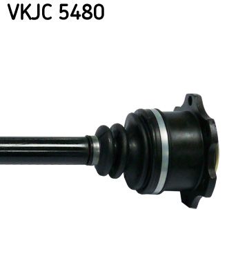 PLANETARA SKF VKJC5480 2