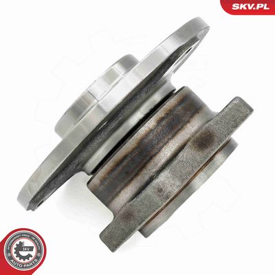 SET RULMENT ROATA ESEN SKV 29SKV658 5