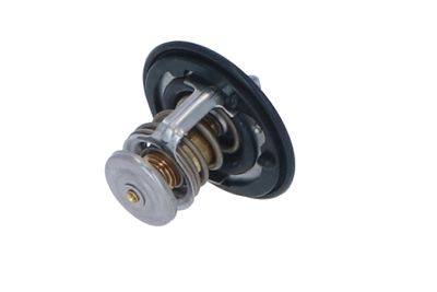 TERMOSTAT LICHID RACIRE NRF 725143 32