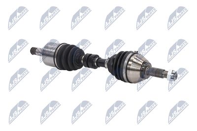 PLANETARA NTY NPWNS042 10