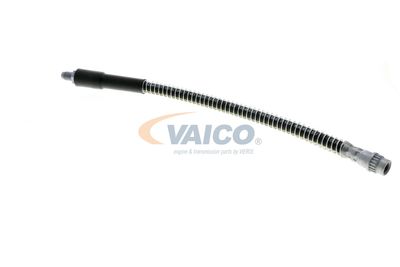 FURTUN FRANA VAICO V464113 15
