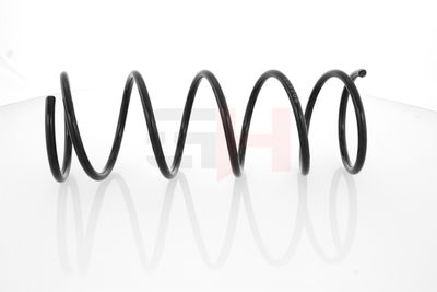 ARC SPIRAL GH GH223206 5