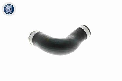 LADELUFTSCHLAUCH VAICO V301872 5