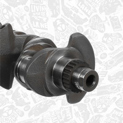 ARBORE COTIT ET ENGINETEAM HK0230 3