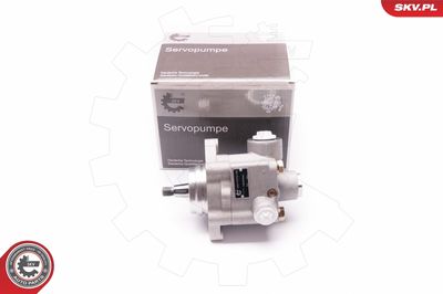 Hydraulic Pump, steering 1SKV0008
