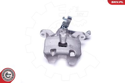 Brake Caliper 55SKV844