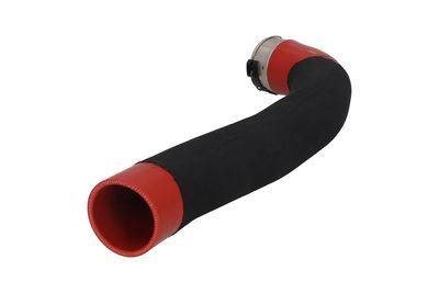 FURTUN EAR SUPRAALIMENTARE