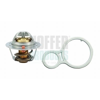 TERMOSTAT LICHID RACIRE