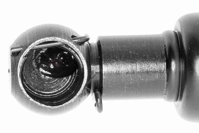 GASFEDER KOFFER-/LADERAUM VAICO V460438 1