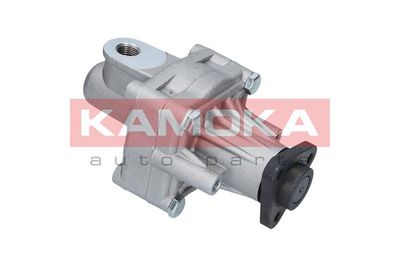 Hydraulic Pump, steering PP016