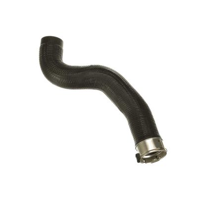 FURTUN EAR SUPRAALIMENTARE GATES 091624 52