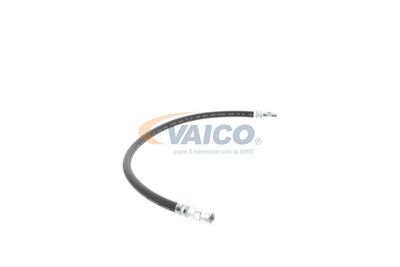 FURTUN FRANA VAICO V309926 50