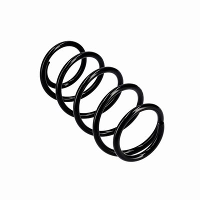 ARC SPIRAL EIBACH R10341 23