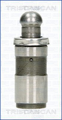 TRISCAN 80-25006 Сухар клапана для IVECO (Ивеко)
