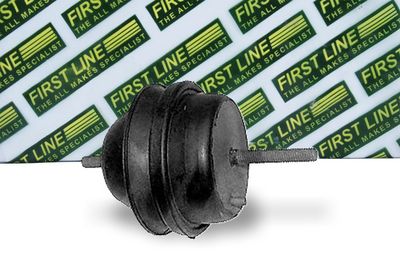 окачване, двигател FIRST LINE FEM3269