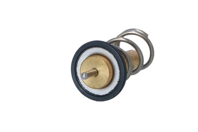 TERMOSTAT LICHID RACIRE NRF 725069 37