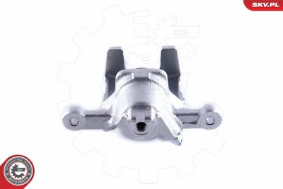 Brake Caliper 55SKV084