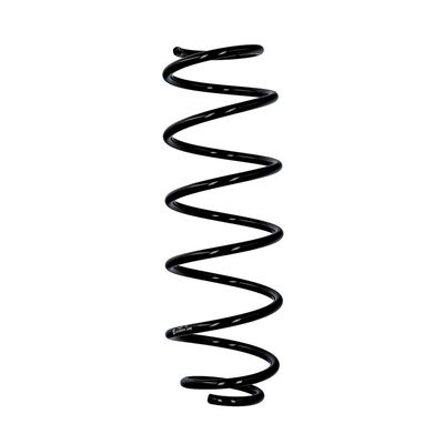 ARC SPIRAL EIBACH R10034 25