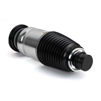 LUFTFEDERBEIN Arnott AS3380 1