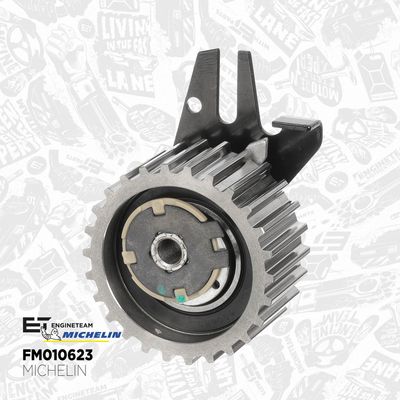 SET CUREA DE DISTRIBUTIE ET ENGINETEAM RM0035 4