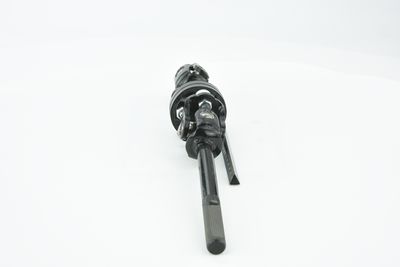 ARBORE DIRECTIE FEBEST ASSZGVSQ 39