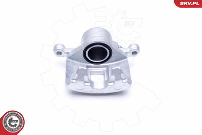 Brake Caliper 46SKV081