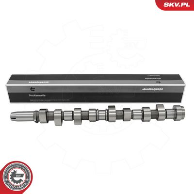 AX CU CAME ESEN SKV 80SKV059 4