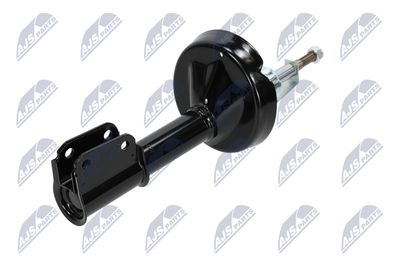 AMORTIZOR NTY ARE020 21