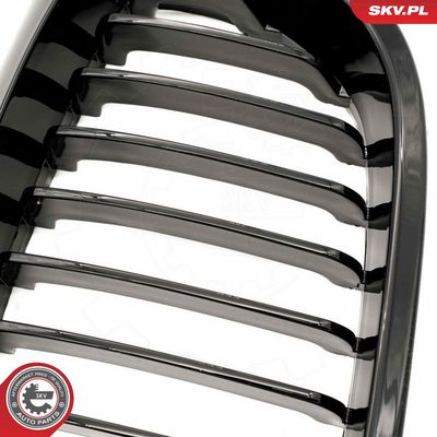 GRILA RADIATOR ESEN SKV 66SKV068 5