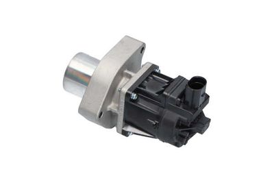 SUPAPA EGR Kavo Parts EEG1012 18