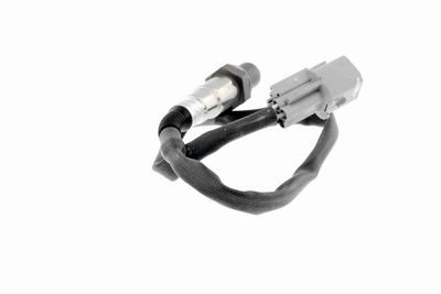 SONDA LAMBDA ACKOJA A53760012 7