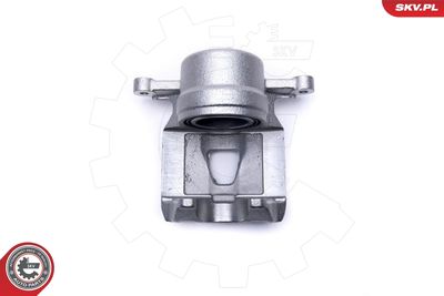 Brake Caliper 42SKV791