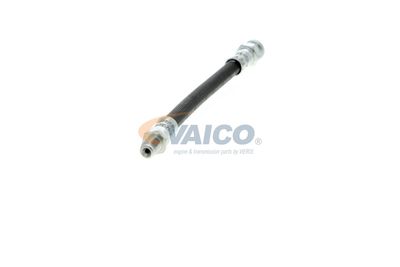 FURTUN FRANA VAICO V249644 41