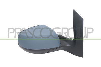 OGLINDA EXTERIOARA PRASCO OP3057013P