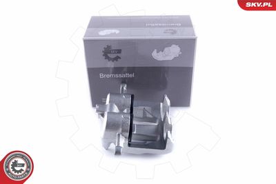 Brake Caliper 50SKV892