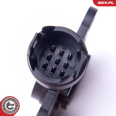 Sensor, Nockenwellenposition ESEN SKV 17SKV424