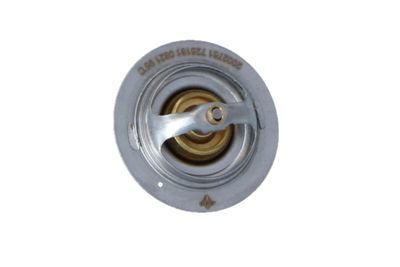 TERMOSTAT LICHID RACIRE NRF 725181 42