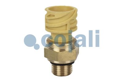 Sensor COJALI 2260284