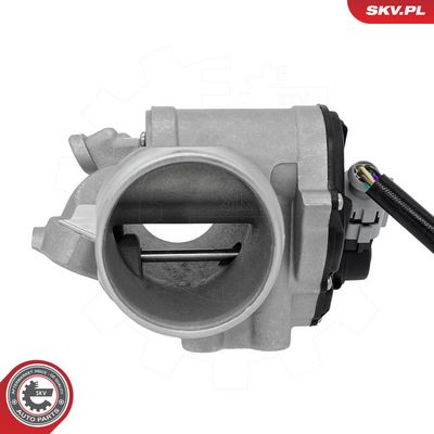 ESEN SKV - AGR - Ventil OPEL, NISSAN, RENAULT, VAUXHALL , 14SKV347