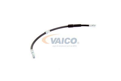 FURTUN FRANA VAICO V104138 48