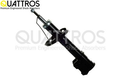 AMORTIZOR DAVID VASCO FL3756 2