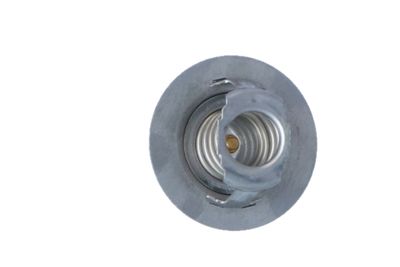 TERMOSTAT LICHID RACIRE NRF 725141 33
