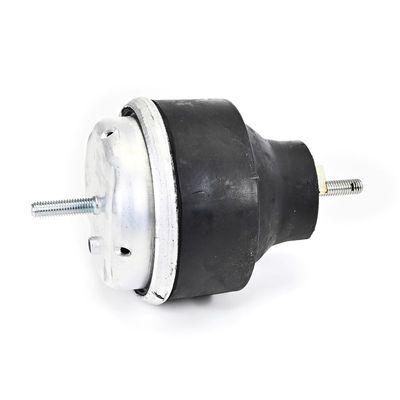 LAGERUNG MOTOR DELPHI TEM239 7