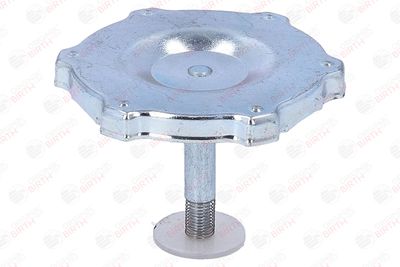 BUSON UMPLERE ULEI BIRTH 8081 3