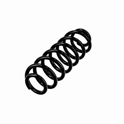 ARC SPIRAL EIBACH R10862 15